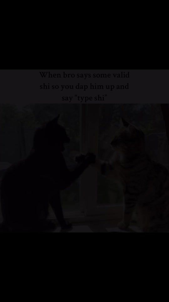 TikTok video thumbnail by tommyguunnz