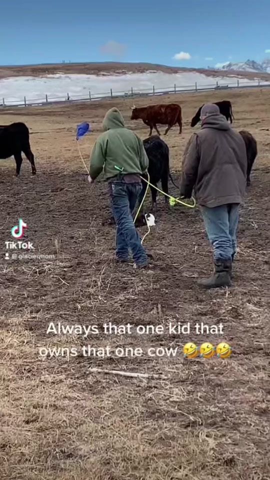 TikTok video thumbnail by loridarlin81