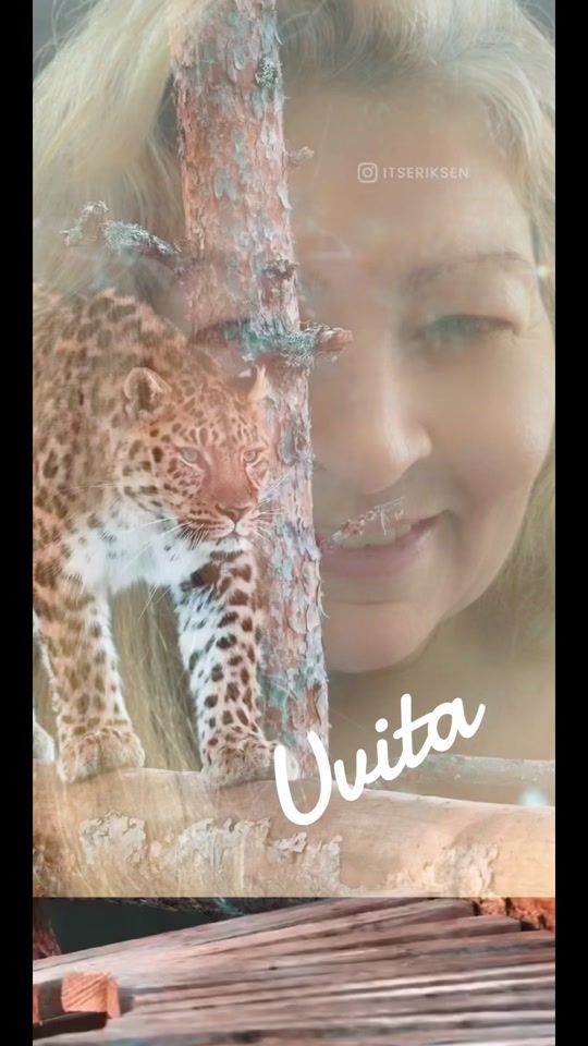 TikTok video thumbnail by uvitafiel_16