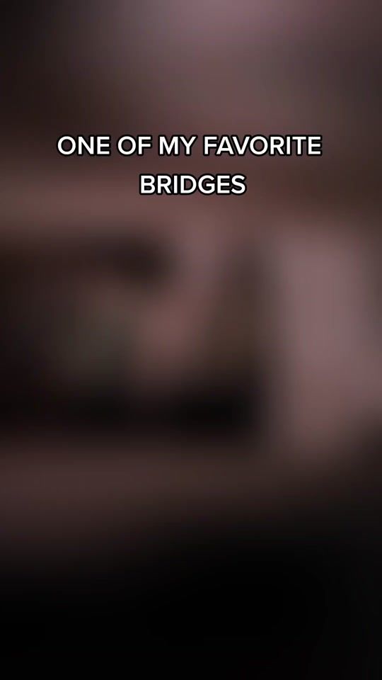 TikTok video thumbnail by takeittodabridge