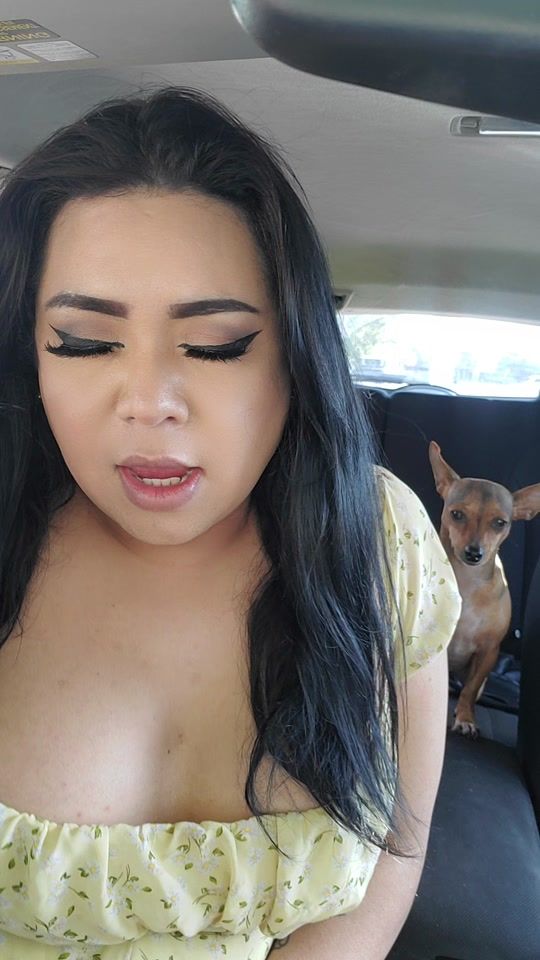 TikTok video thumbnail by victoriaferrazoficial
