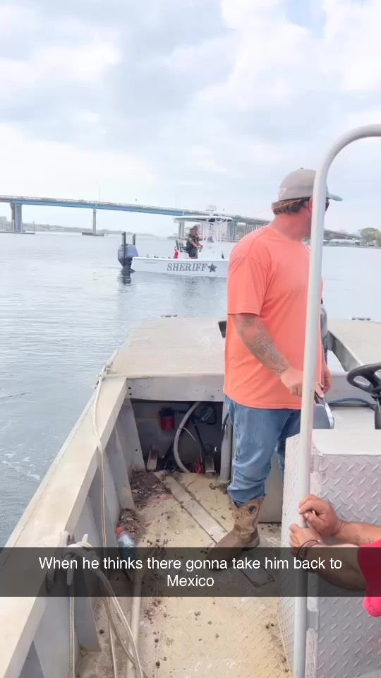 TikTok video thumbnail by georgenelson142