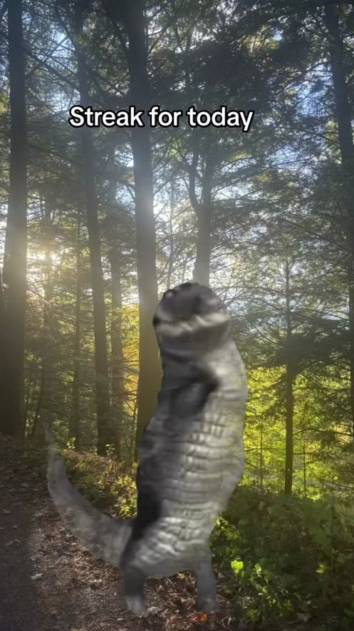 TikTok video thumbnail by mibziii