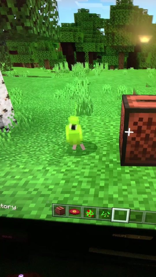 TikTok video thumbnail by yourminecraftboi
