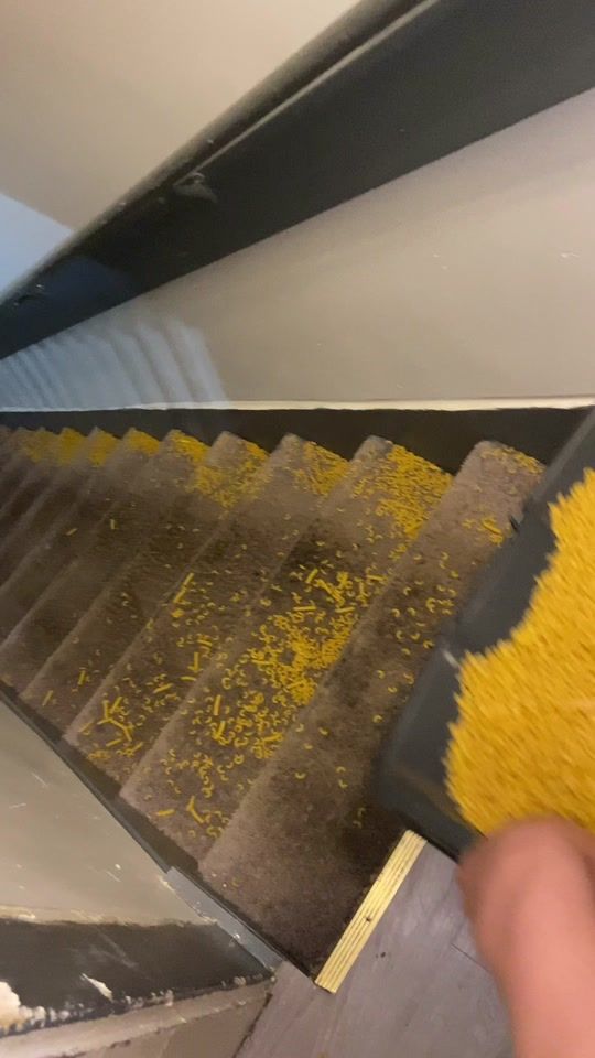 TikTok video thumbnail by floofnoodles