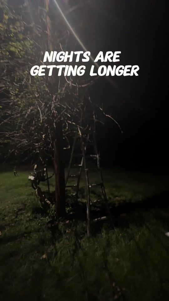 TikTok video thumbnail by thatsnakeguy