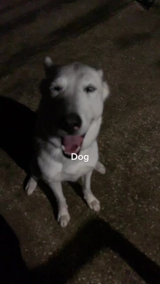 TikTok video thumbnail by you.thought7