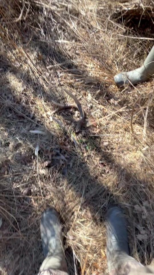 TikTok video thumbnail by gettingdirtyoutdoors