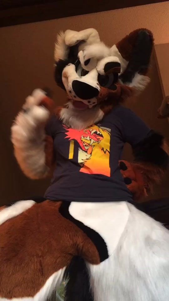 TikTok video thumbnail by skedaddledoggo