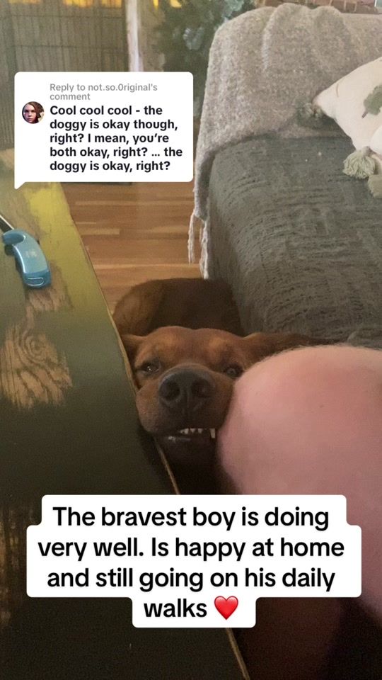 TikTok video thumbnail by bigbravebear