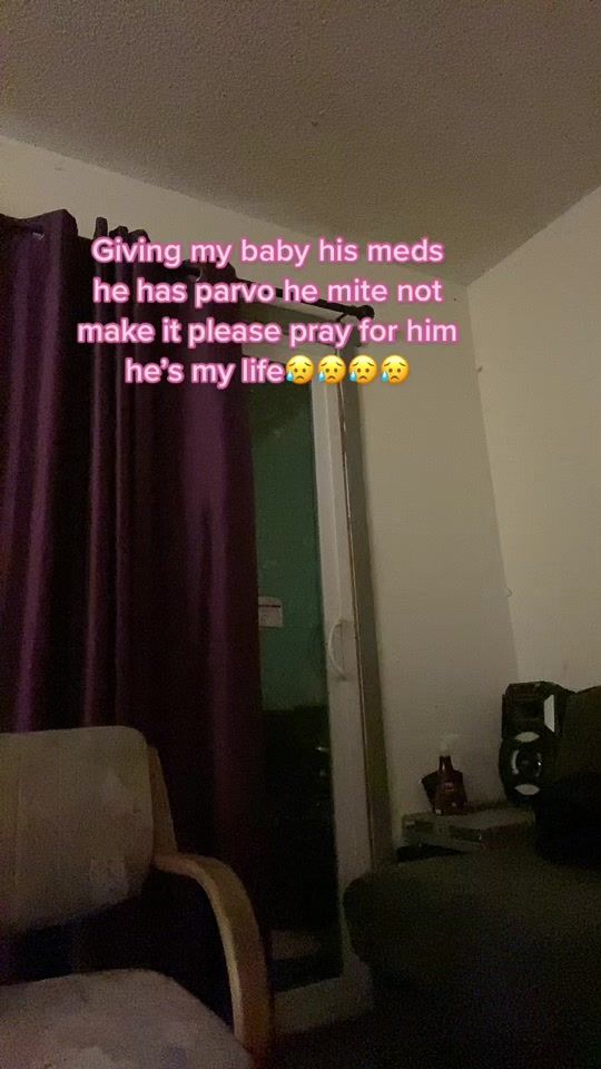 TikTok video thumbnail by reneehudson45