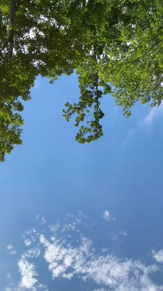 TikTok video thumbnail by iambeaa777