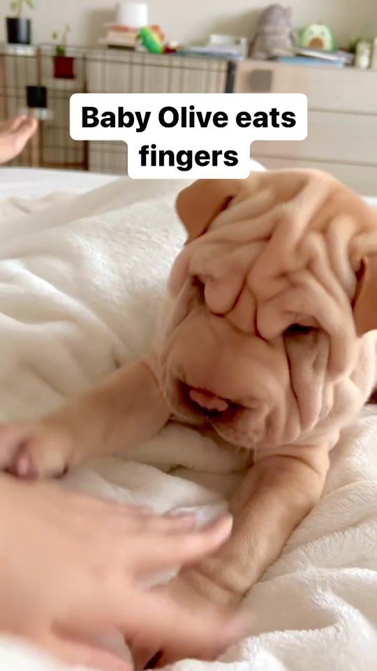 TikTok video thumbnail by avathetappingpei