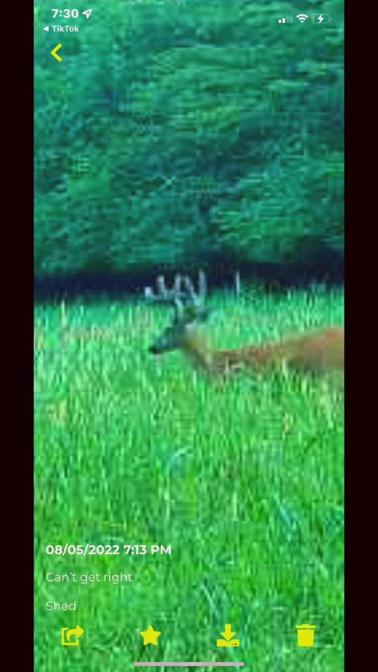 TikTok video thumbnail by hunting_for_life09