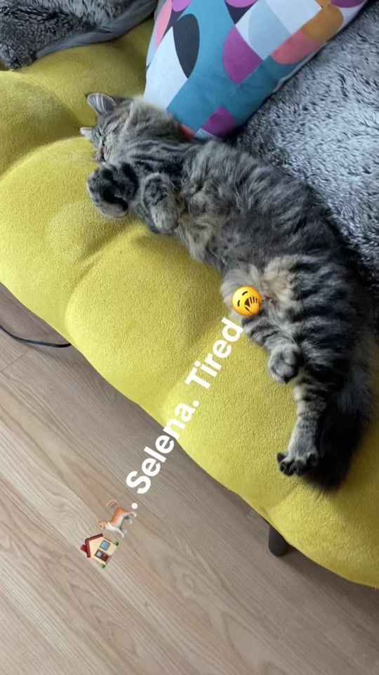 TikTok video thumbnail by wwwmechito