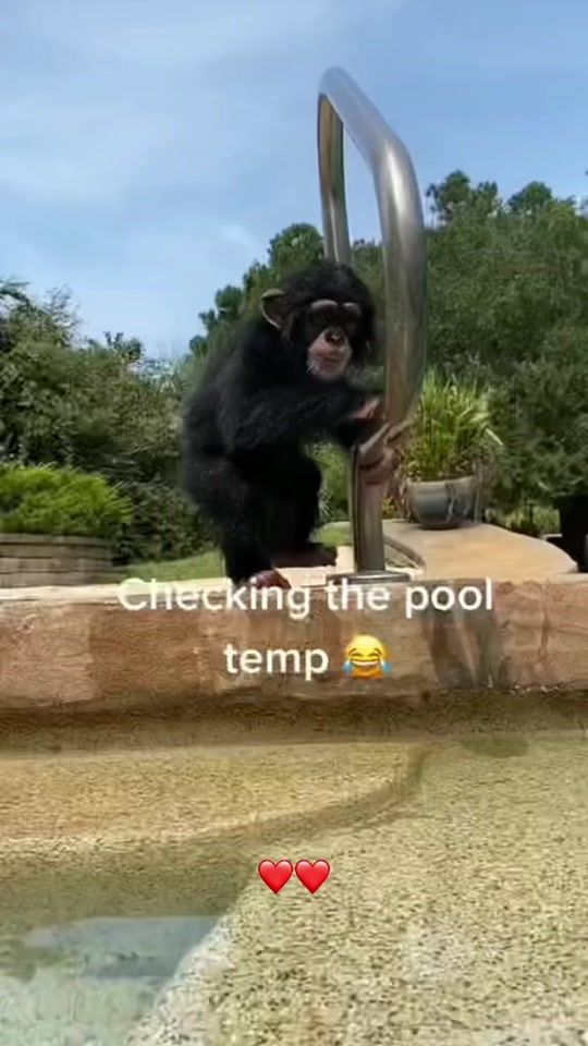 TikTok video thumbnail by lyson_2000