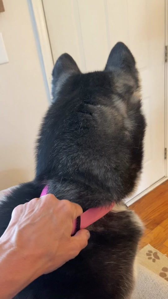 TikTok video thumbnail by 3prettygirls123