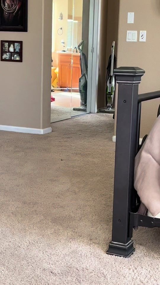 TikTok video thumbnail by savannahmay1114