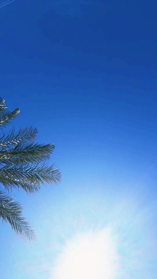 TikTok video thumbnail by jbdancelv