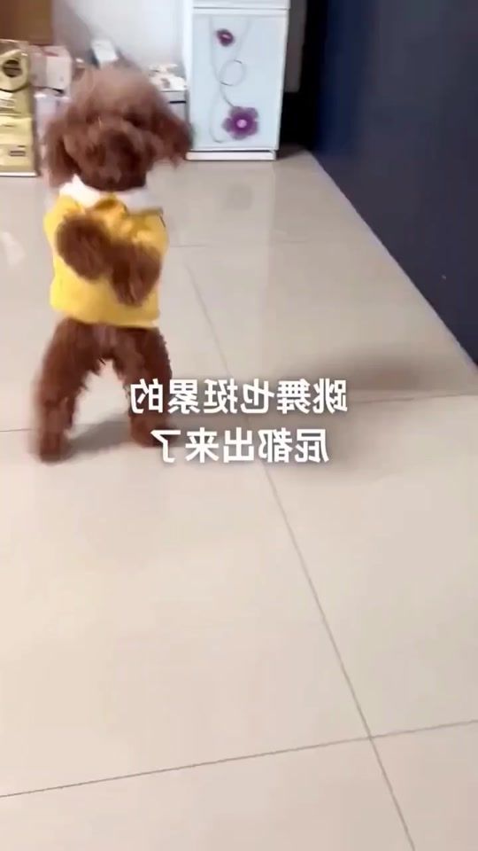 TikTok video thumbnail by thih6405