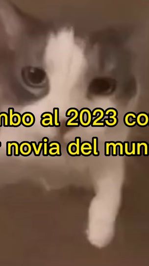 TikTok video thumbnail by aka_canelito