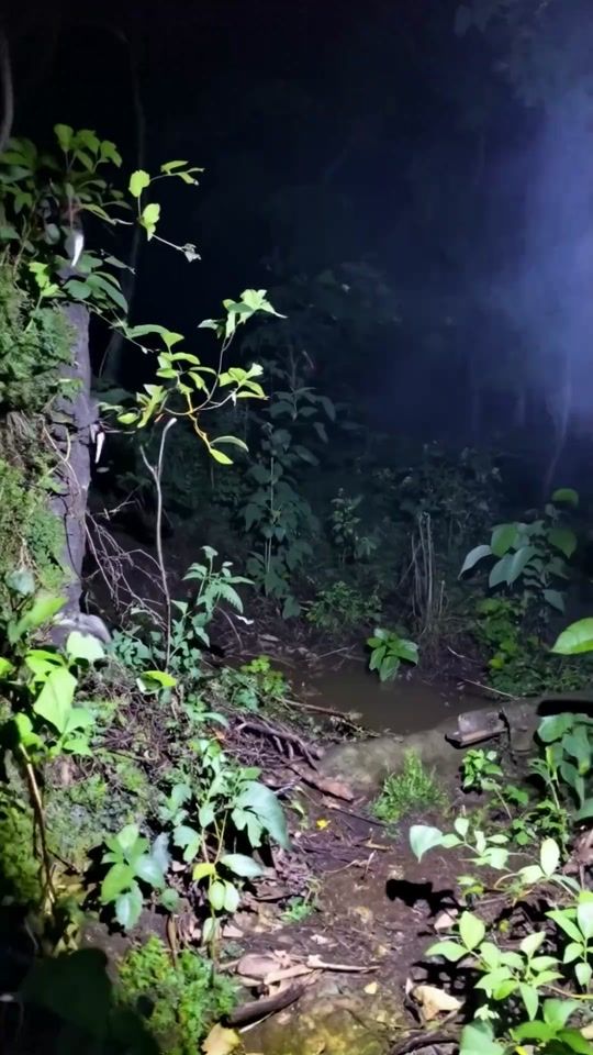TikTok video thumbnail by fiendcore