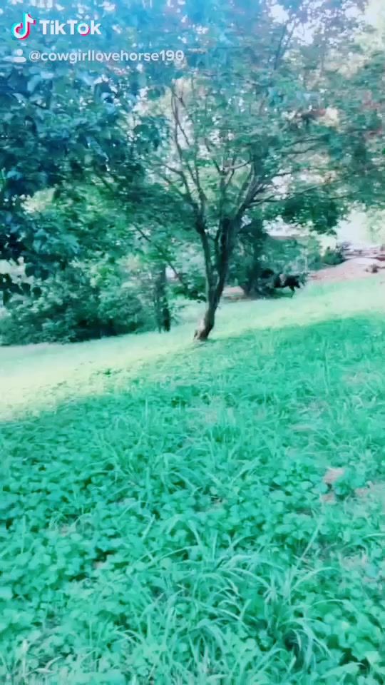 TikTok video thumbnail by flickaandred190