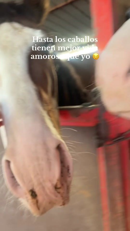 TikTok video thumbnail by ariannaaa_r