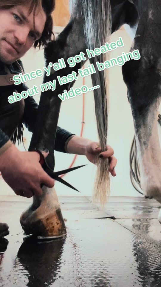 TikTok video thumbnail by chrisazureridge