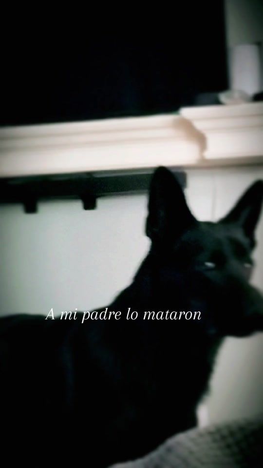 TikTok video thumbnail by suly.026