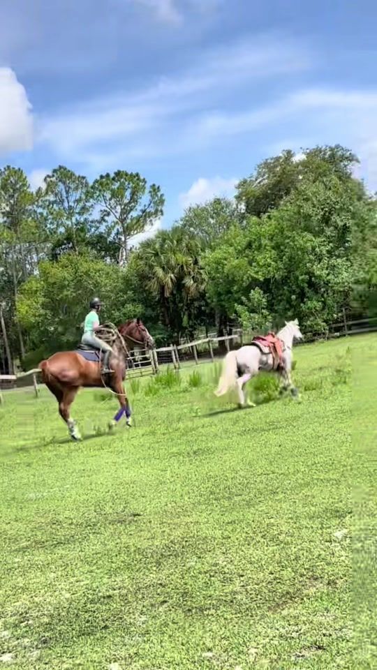 TikTok video thumbnail by victoriaraleigh