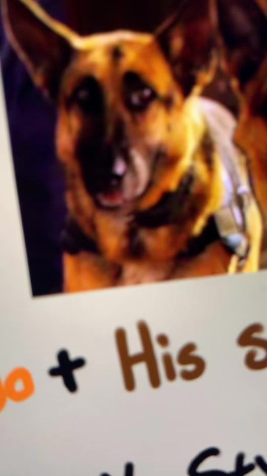 TikTok video thumbnail by bonz.bun