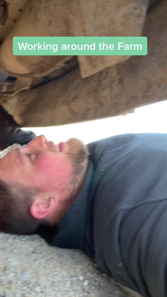 TikTok video thumbnail by farmerdirk