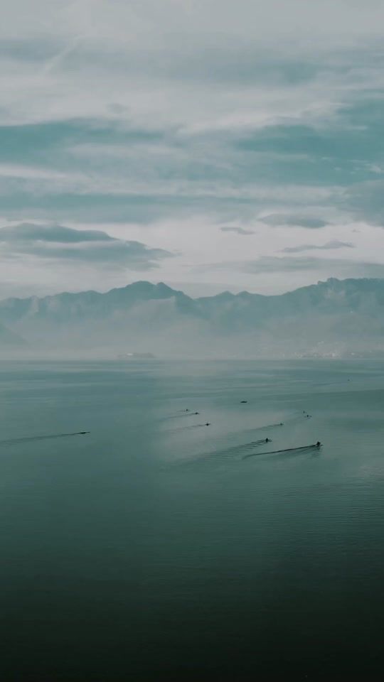TikTok video thumbnail by ambientaloe