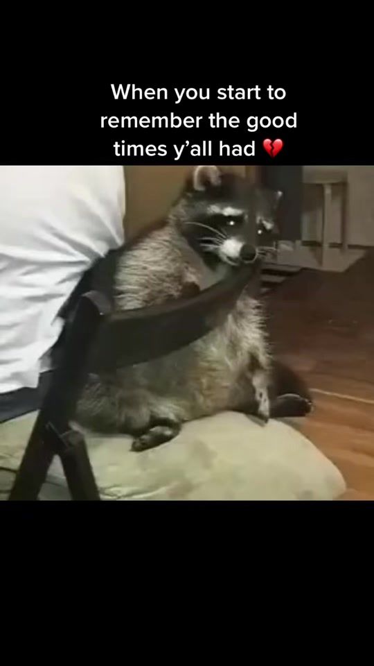 TikTok video thumbnail by ulisesdiaz706