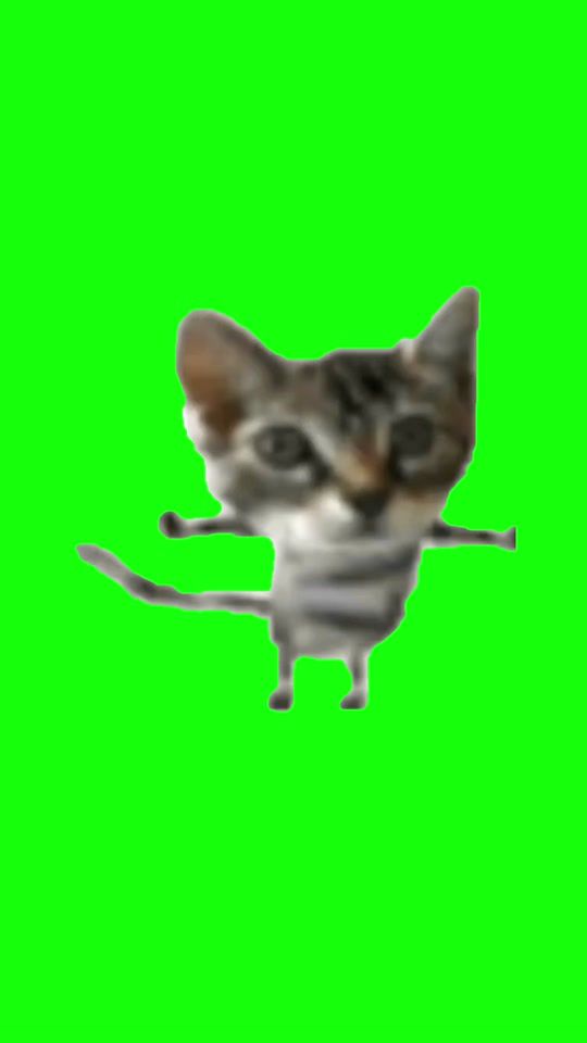 TikTok video thumbnail by eat.things