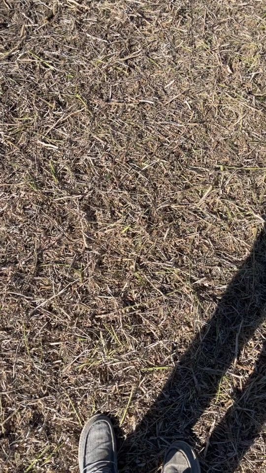 TikTok video thumbnail by jack.barth