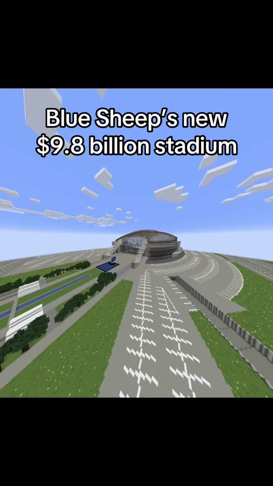 TikTok video thumbnail by cfb.bluesheep