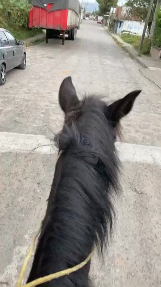 TikTok video thumbnail by meraguijes