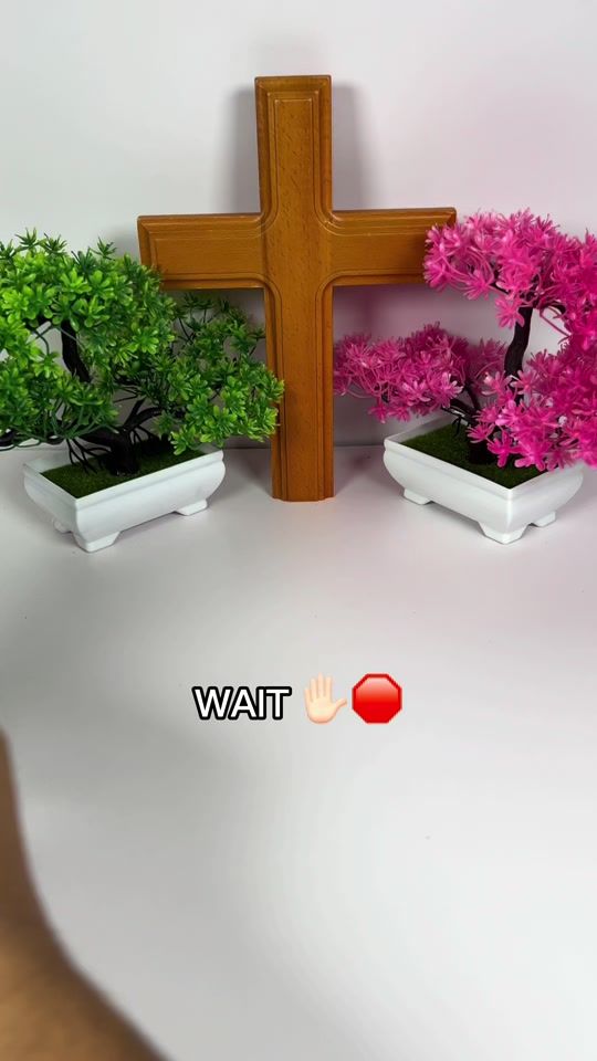 TikTok video thumbnail by purefaith.0
