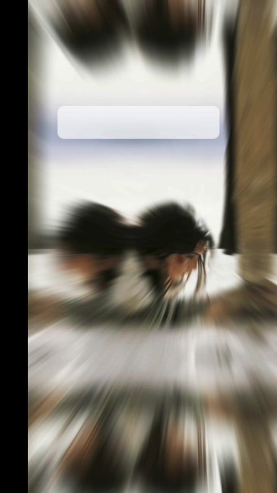 TikTok video thumbnail by faithstudio9938