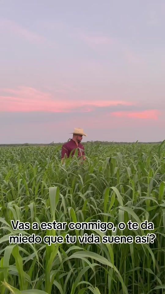 TikTok video thumbnail by abvillarreal05