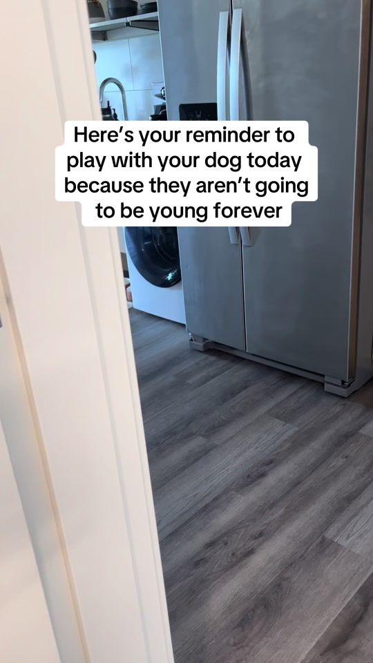 TikTok video thumbnail by caitlinloveross