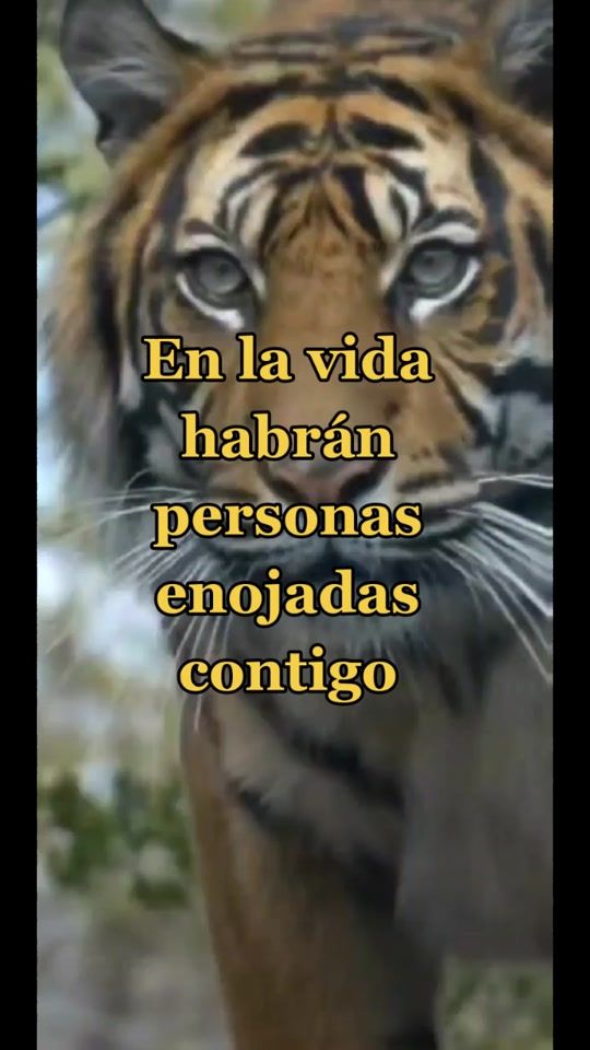 TikTok video thumbnail by esme_lemus09_10