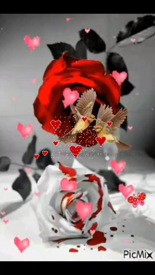 TikTok video thumbnail by glendabardales5