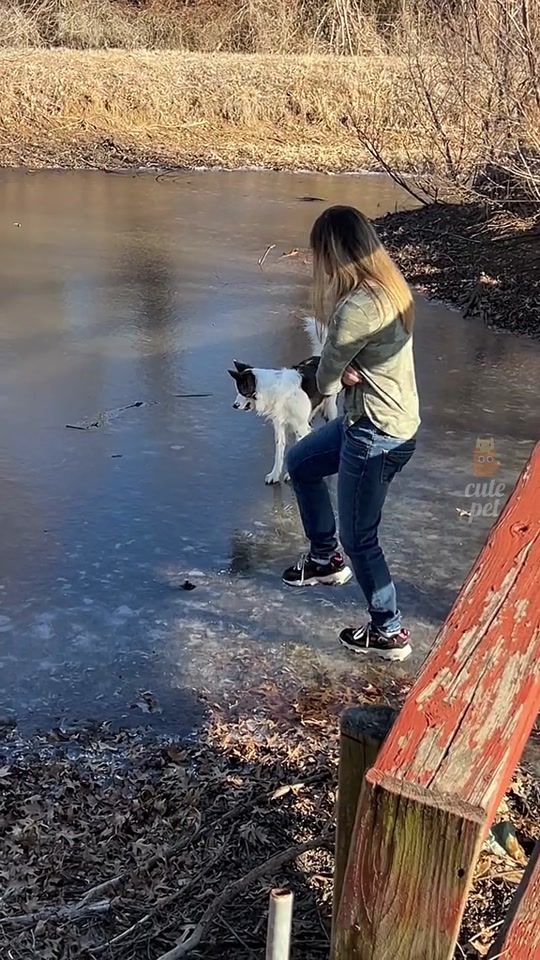 TikTok video thumbnail by petlove23.4