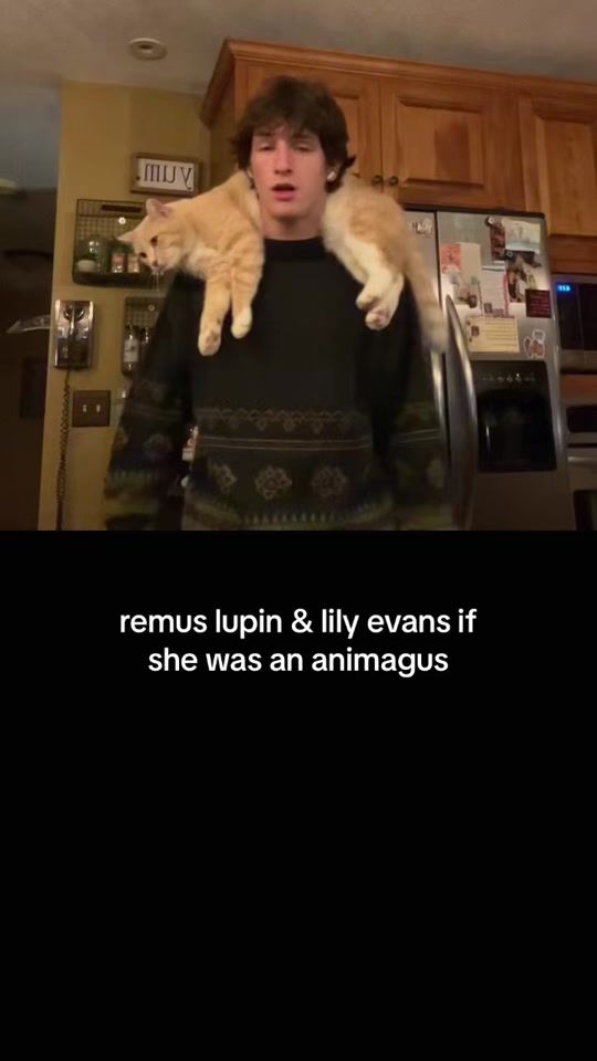 TikTok video thumbnail by theymightbepirates