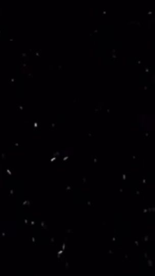 TikTok video thumbnail by jalp200