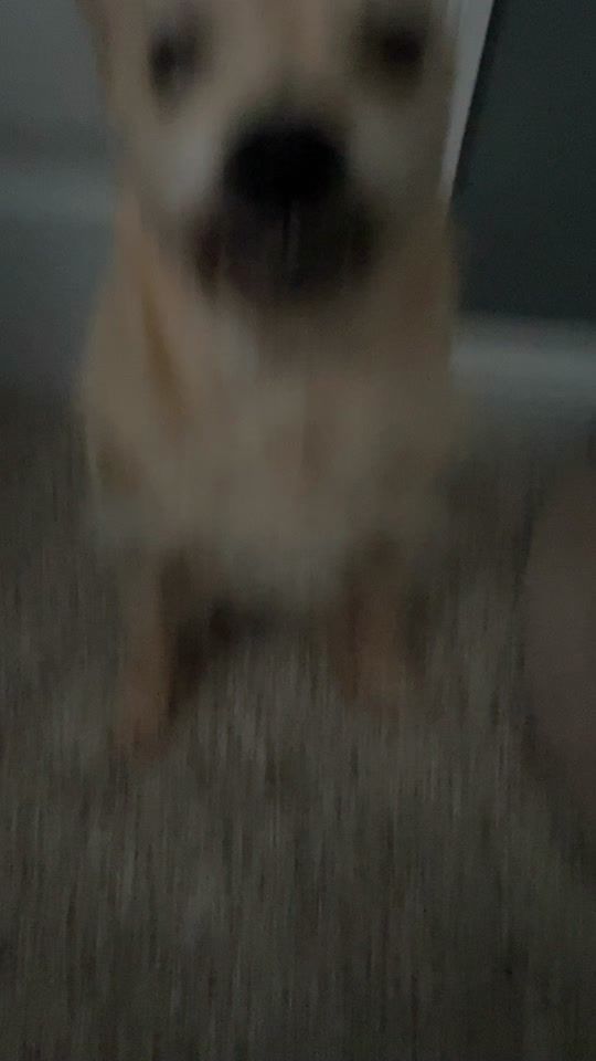 TikTok video thumbnail by realityrat