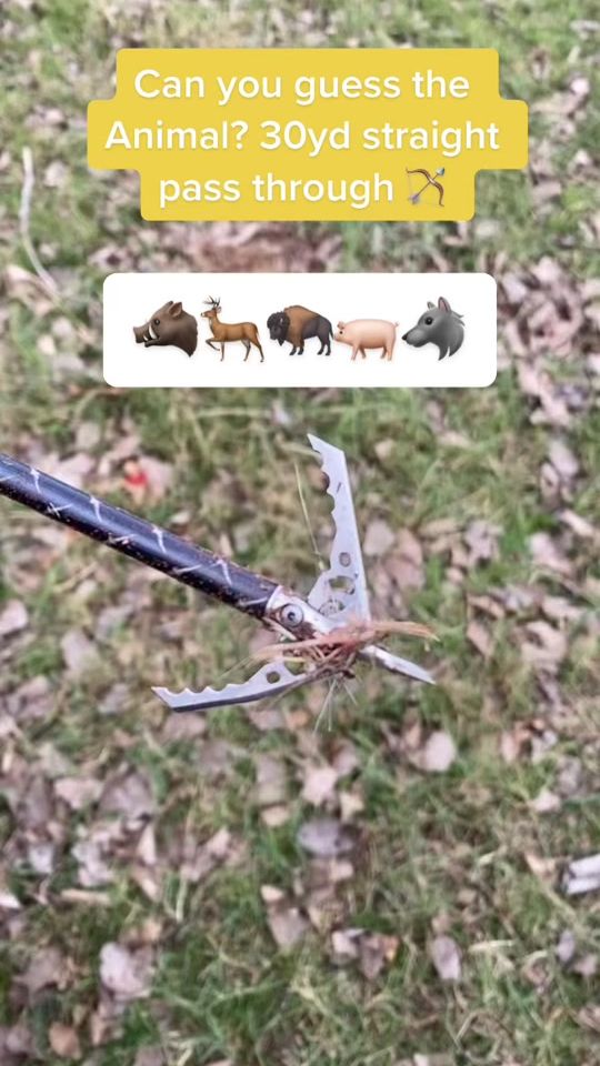 TikTok video thumbnail by archerycartel
